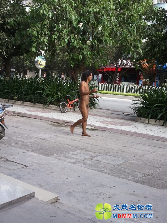 WP_000845.jpg
