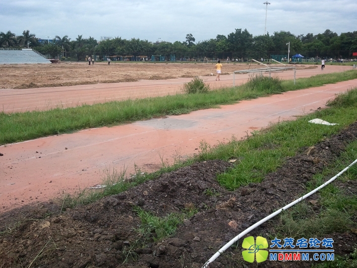WP_000881.jpg
