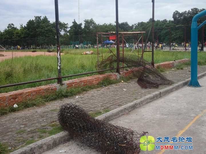 WP_000892.jpg