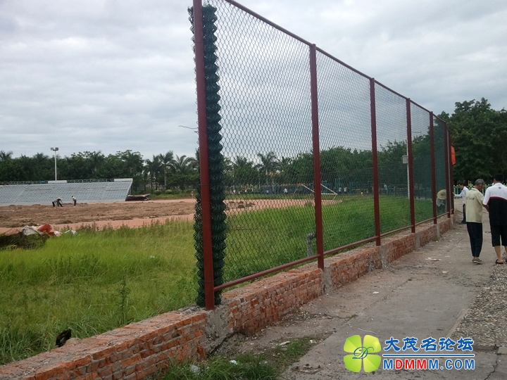 WP_000897.jpg