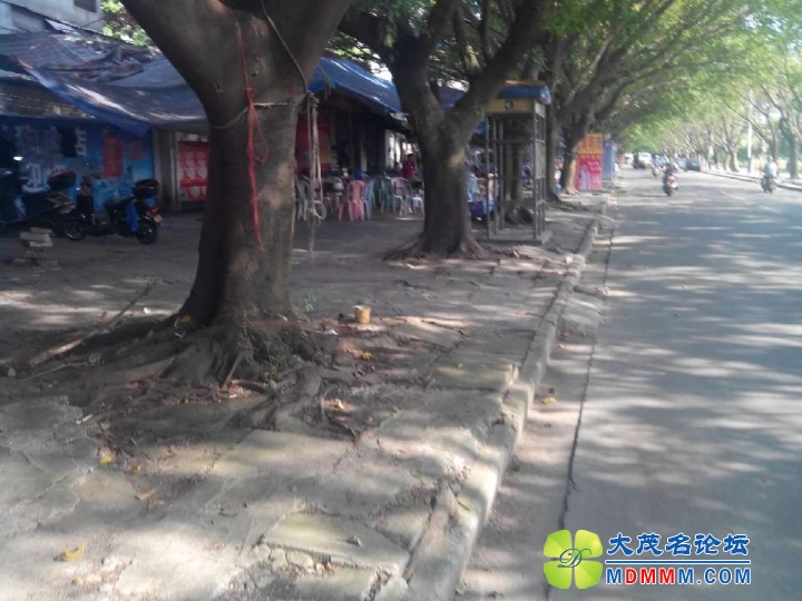 QQͼƬ20130627165155.jpg