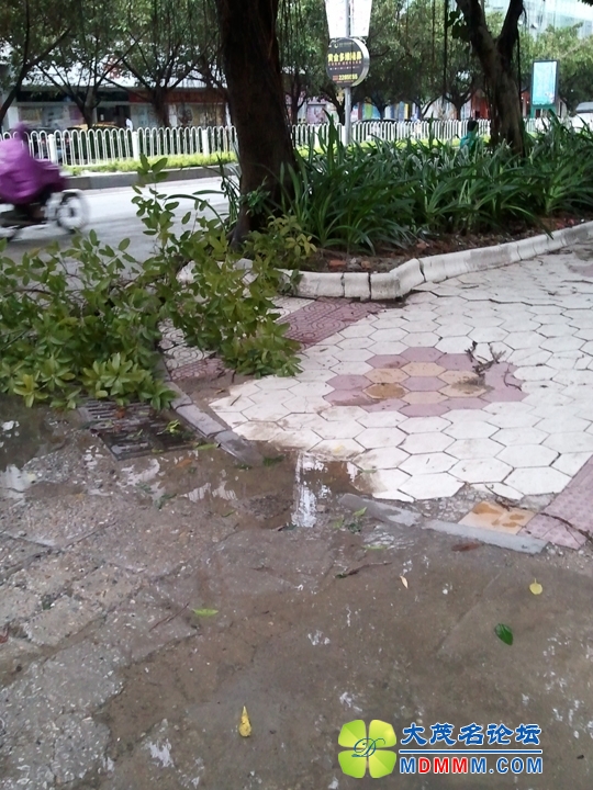 WP_000920.jpg