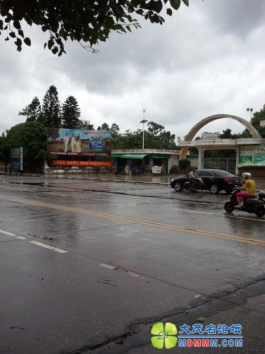 WP_000929.jpg