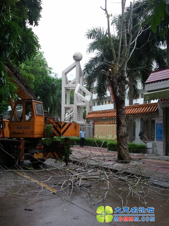 WP_000932.jpg