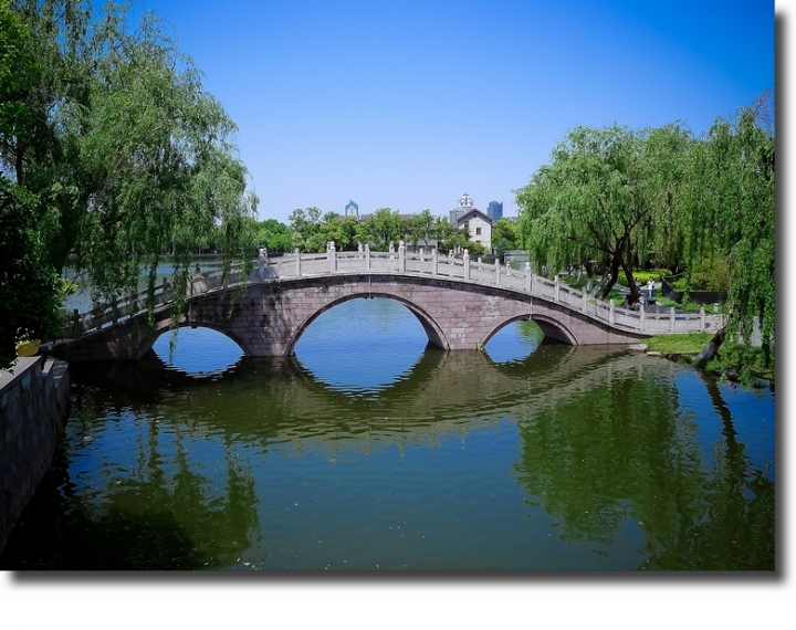 P1060729-1.jpg