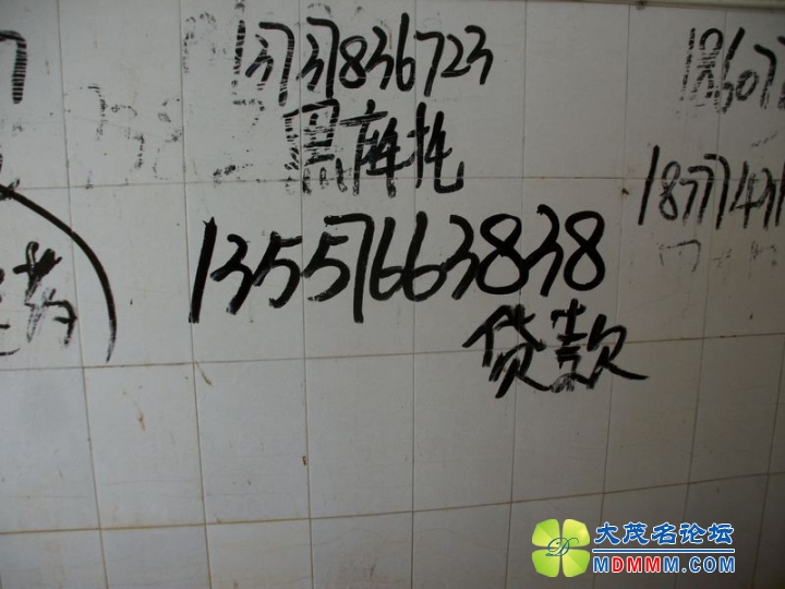 ALIM0528.JPG