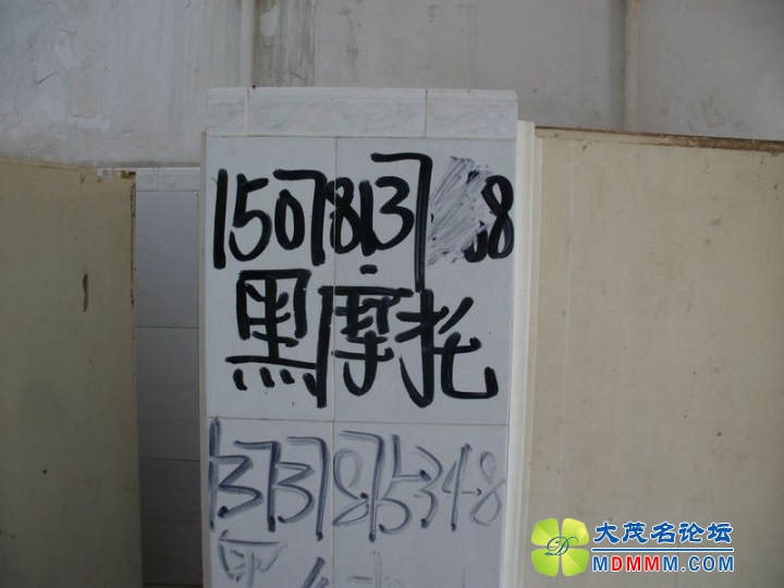 ALIM0527.JPG