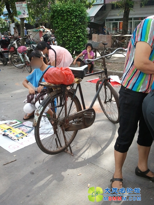 WP_000941.jpg
