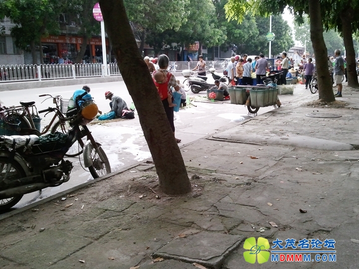 WP_000948.jpg
