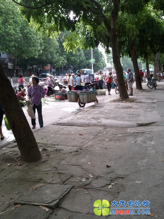 WP_000950.jpg