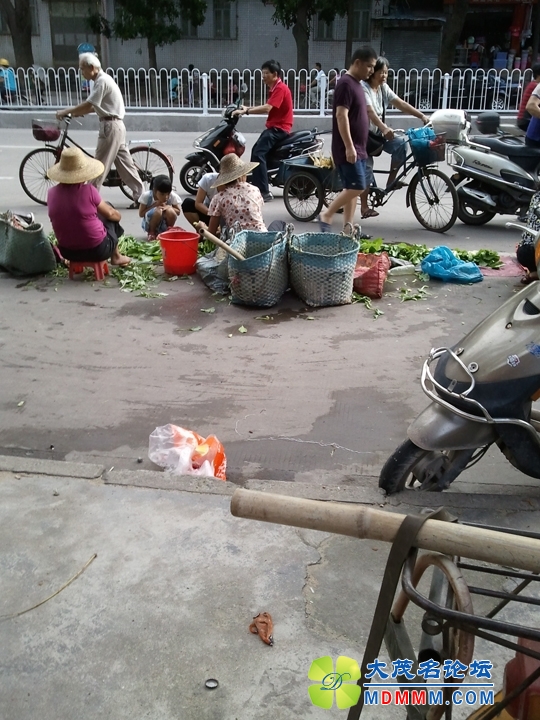 WP_000951.jpg