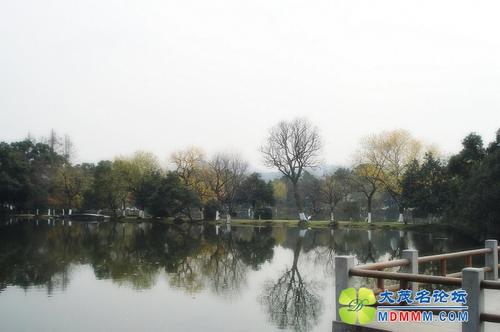 nEO_IMG_DSC00379.jpg