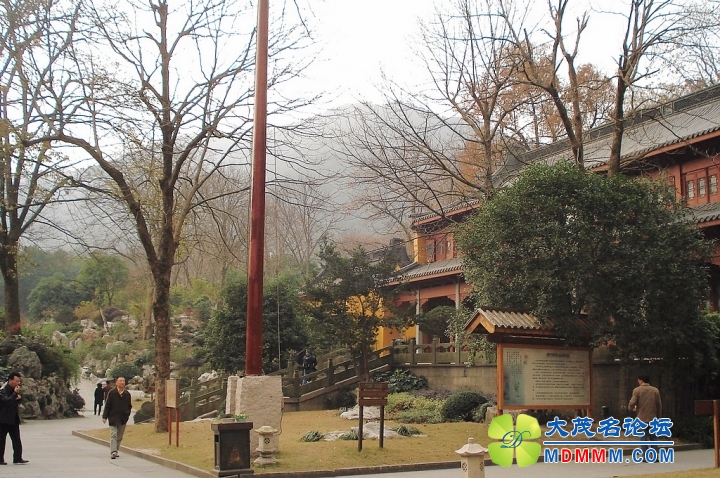 nEO_IMG_DSC00459.jpg