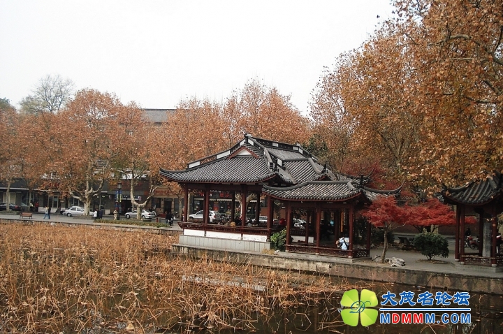 nEO_IMG_DSC00532.jpg