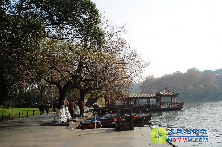 nEO_IMG_DSC00618.jpg
