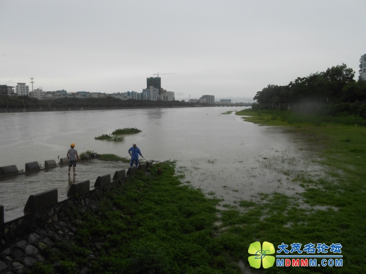 DSCN3548.JPG