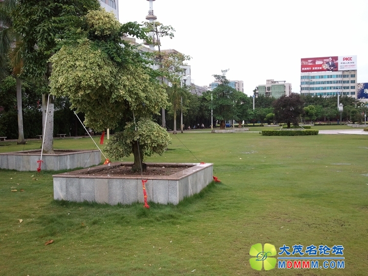 WP_001025.jpg