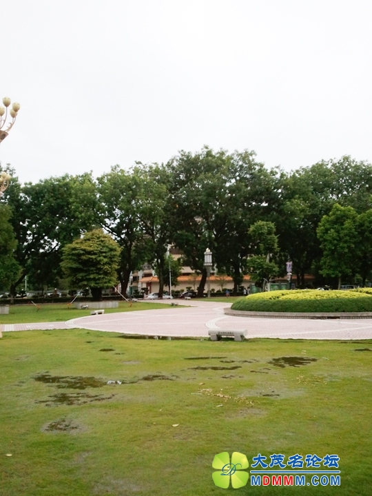 WP_001029.jpg