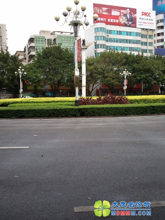 WP_001036.jpg