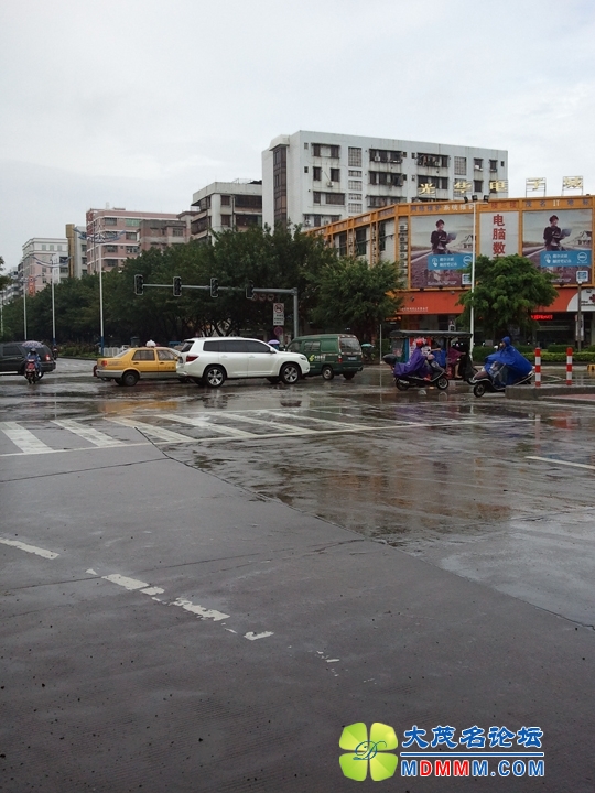 WP_001049.jpg