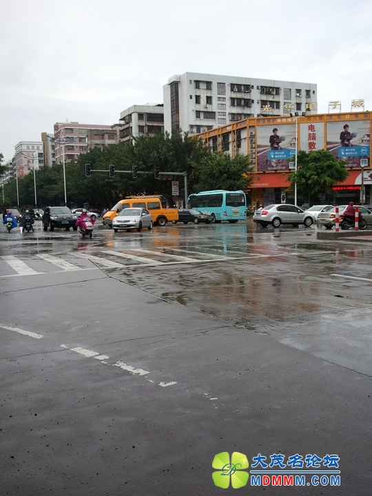 WP_001061.jpg