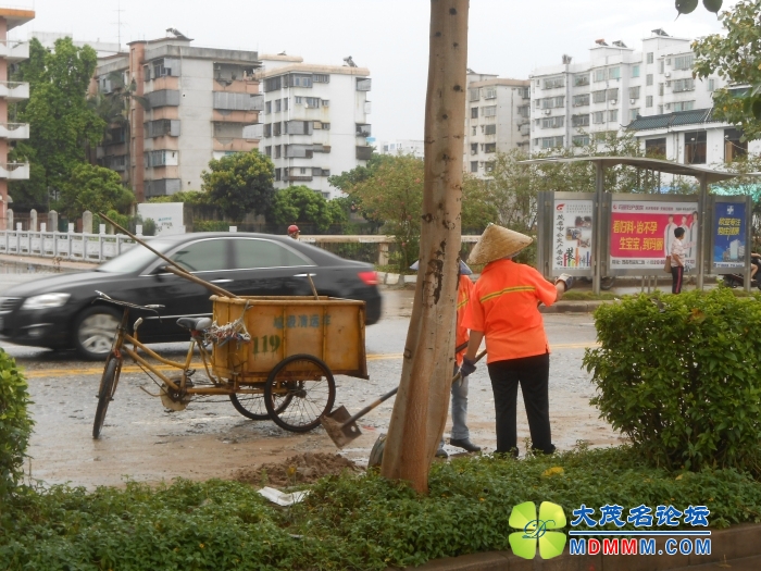 DSCN3558.jpg
