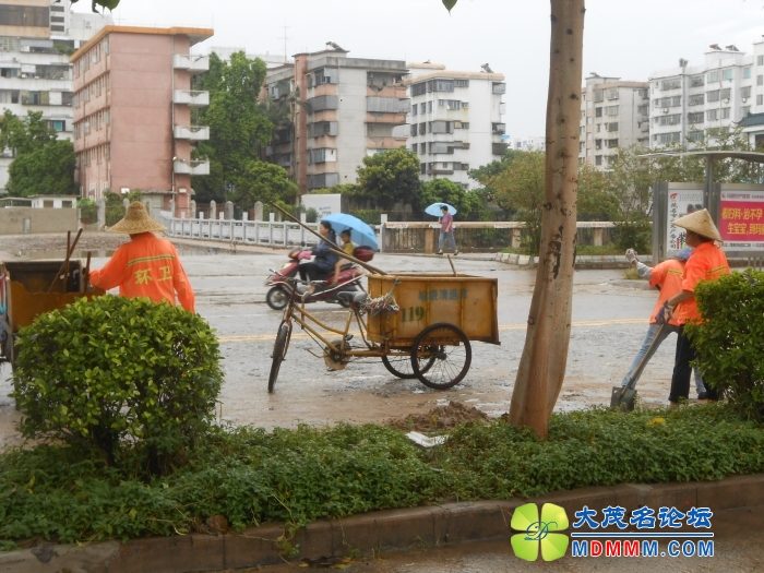 DSCN3559.jpg