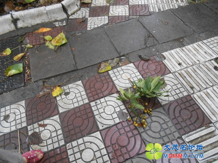 DSCN3566.jpg