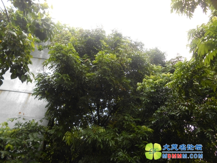 DSCN3567.jpg