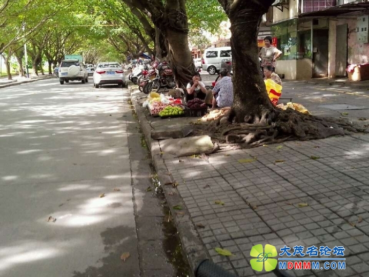 QQͼƬ20130717162736.jpg