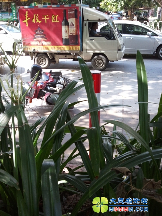 WP_001104.jpg