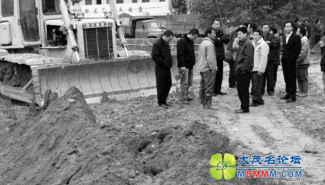 qzh01.JPG