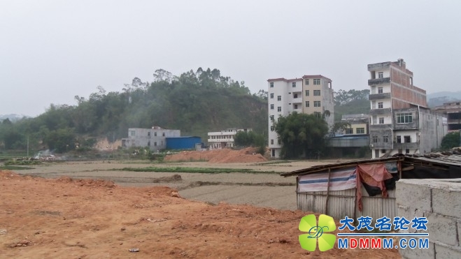 qzh02.JPG