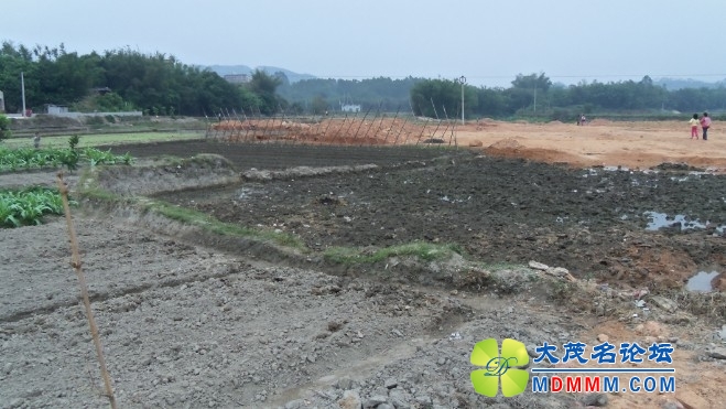qzh06.JPG