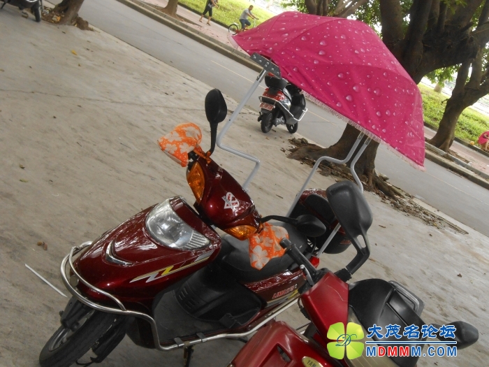 DSCN3694.jpg