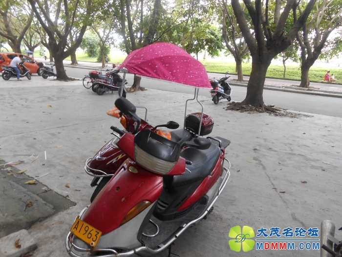 DSCN3693.jpg