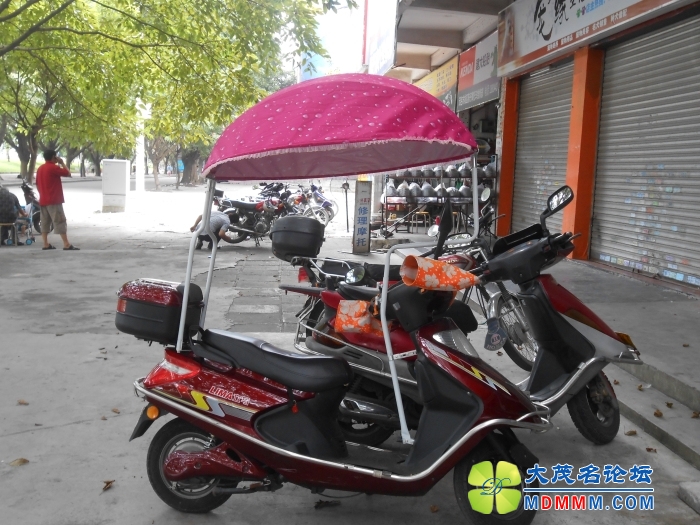 DSCN3696.jpg