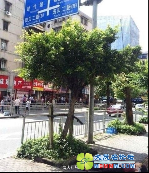 123840uyu83xrcwaca6urc.jpg