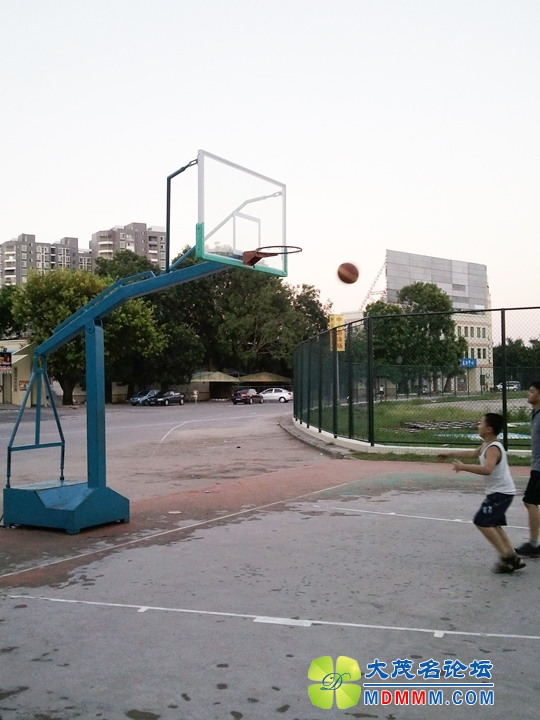 WP_001169.jpg
