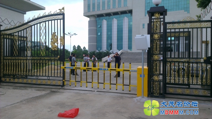 IMAG0391.jpg