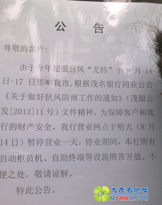 14082013465_.jpg