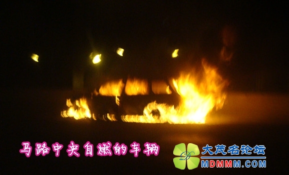 DSC01381_.jpg