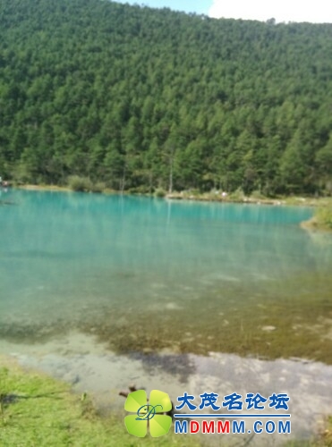 IMG20130815020808.jpg