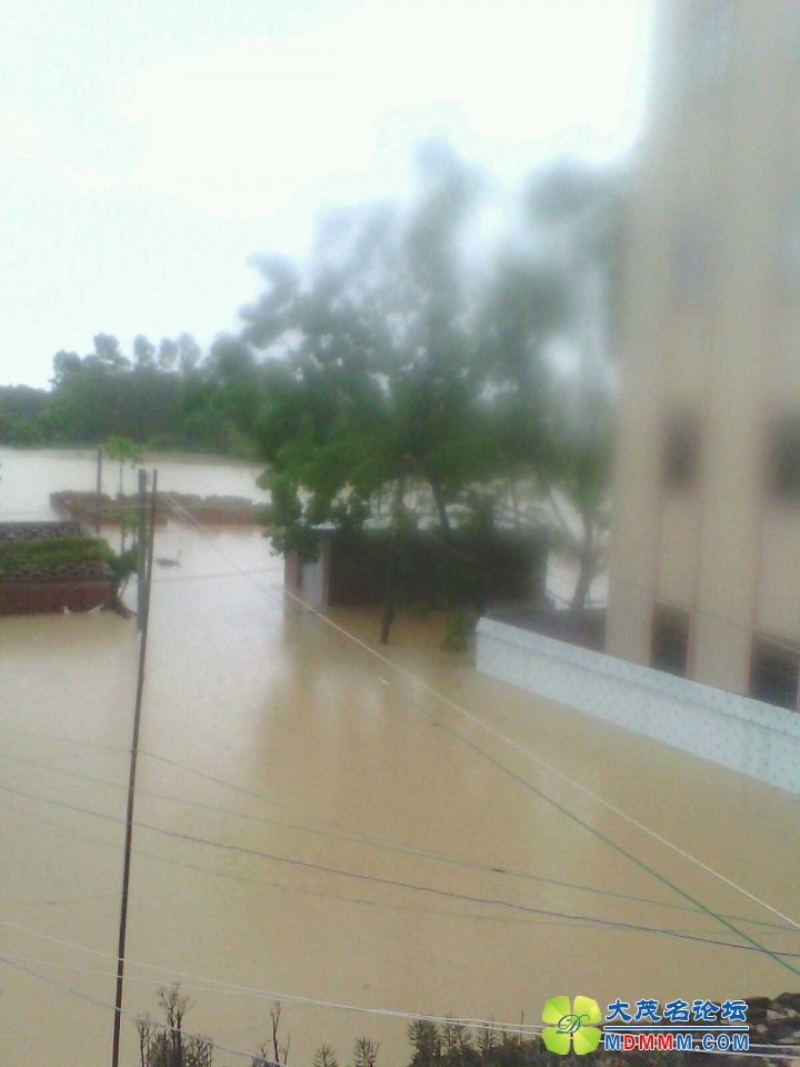 QQͼƬ20130815131615.jpg