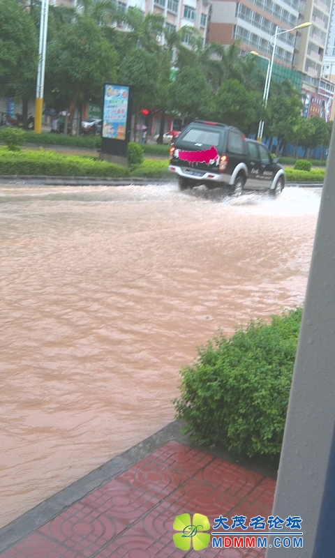 IMAG0491.jpg