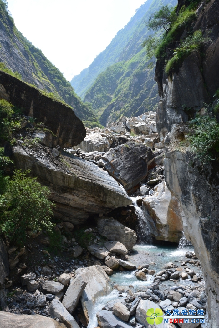 DSC_1640.jpg