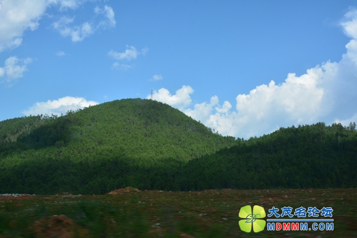 DSC_1779.jpg
