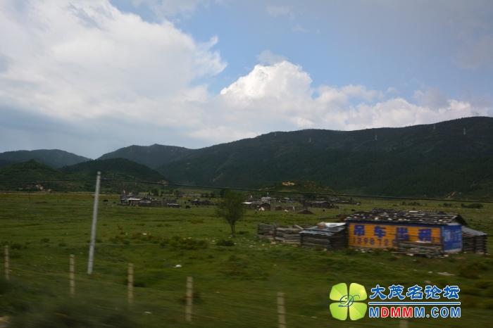 DSC_1820.jpg
