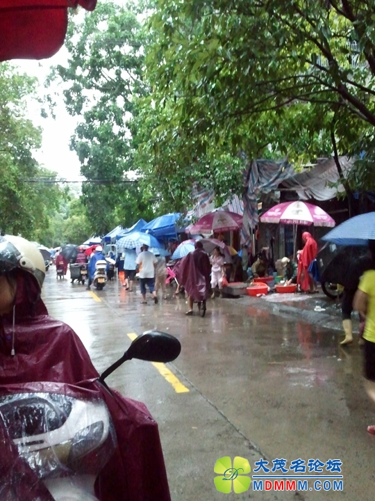 WP_001234.jpg
