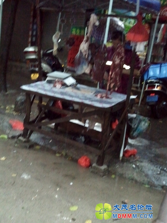 WP_001238.jpg